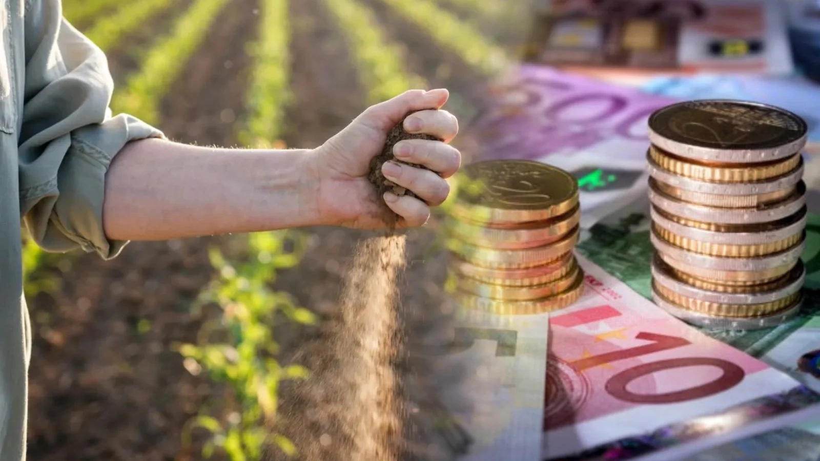 Agricultura românească, lovită de scumpirea energiei. Investitori străini profită, fermierii români pierd