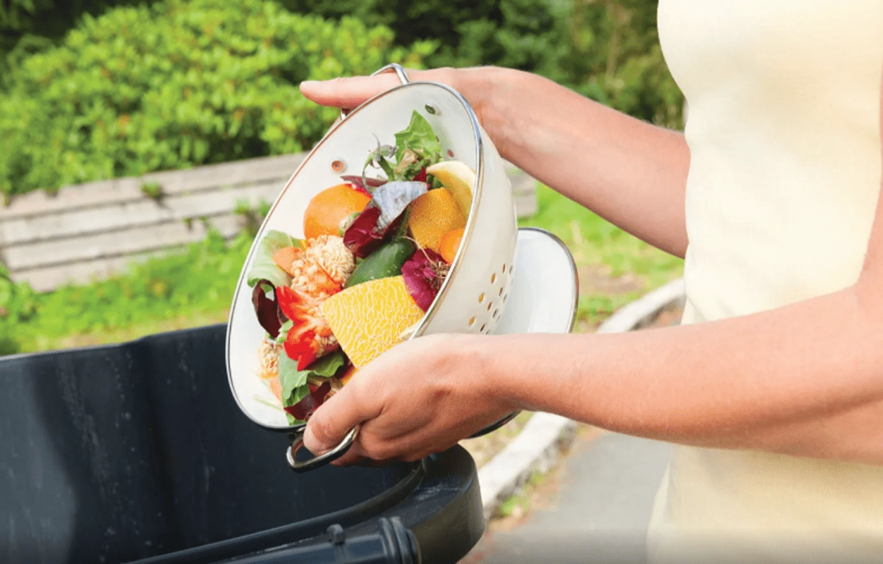 România risipește milioane de tone de alimente anual: cum poate fi oprit haosul din farfurii