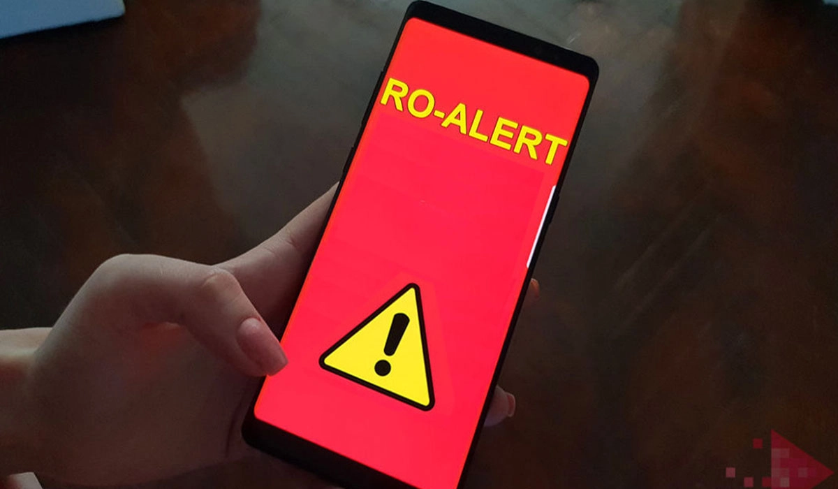 Mesaje Ro-Alert în două localități din Dâmbovița din cauza urșilor