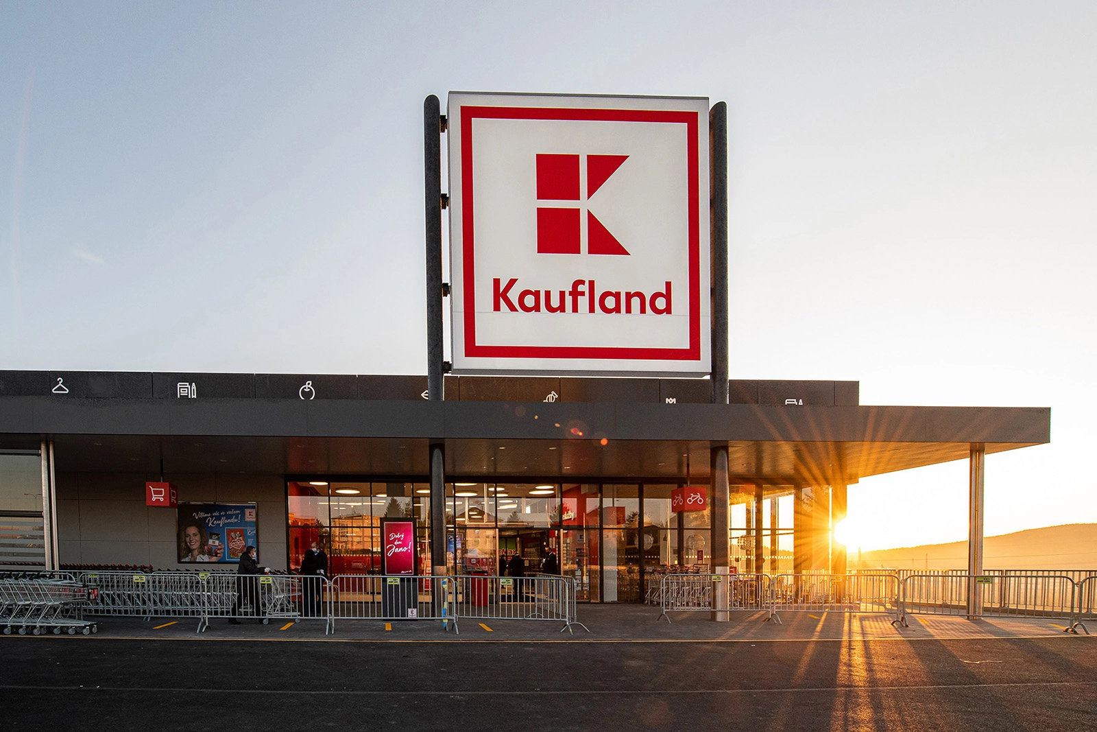 Alertă alimentară: Loturi întregi de ouă retrase de urgență din Kaufland și Mega Image – Ar putea avea Salmonella Typhimurium
