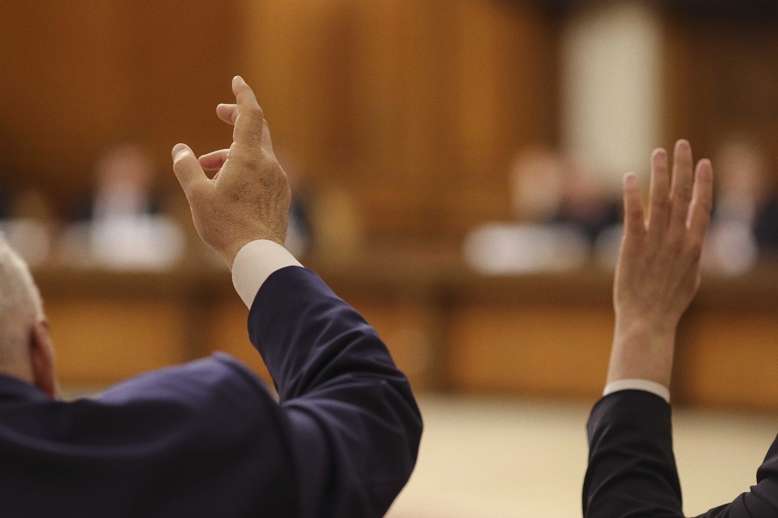 PSD schimbă garda în Parlament: Cine este noul deputat validat după demisia secretarul Comisiei de Apărare | DOCUMENTE