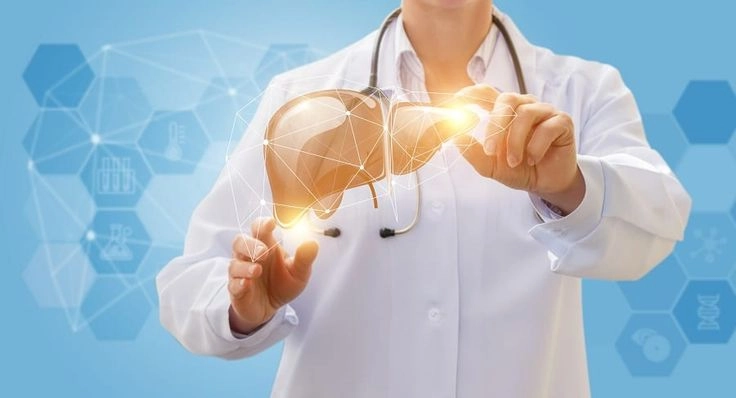 Bolile hepatice, în creștere: Cercetătorii canadieni descoperă o moleculă care ar putea proteja ficatul