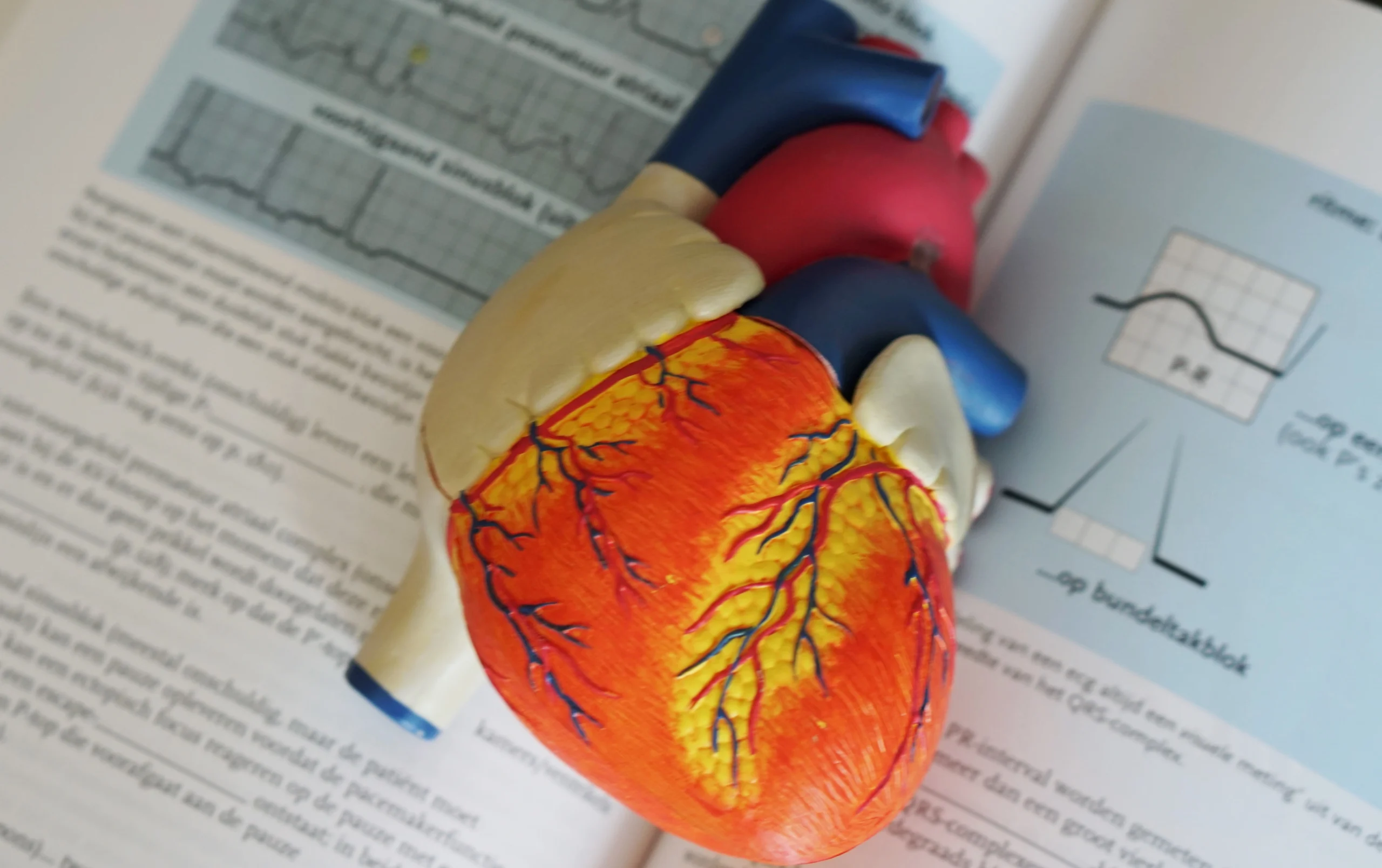 O nouă legătură între femeile care suferă de atacuri de cord
