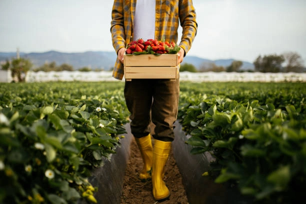 Comunitatea Antreprenorilor Tineri din Agricultură lansează programul 'Fermier-Antreprenor'