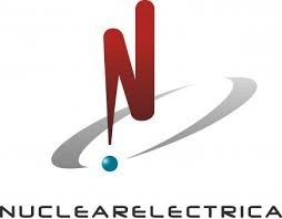 Un manager din IT şi unul din petrol şi gaze, numiţi reprezentanţi ai statului în Consiliul de Administraţie al Nuclearelectrica