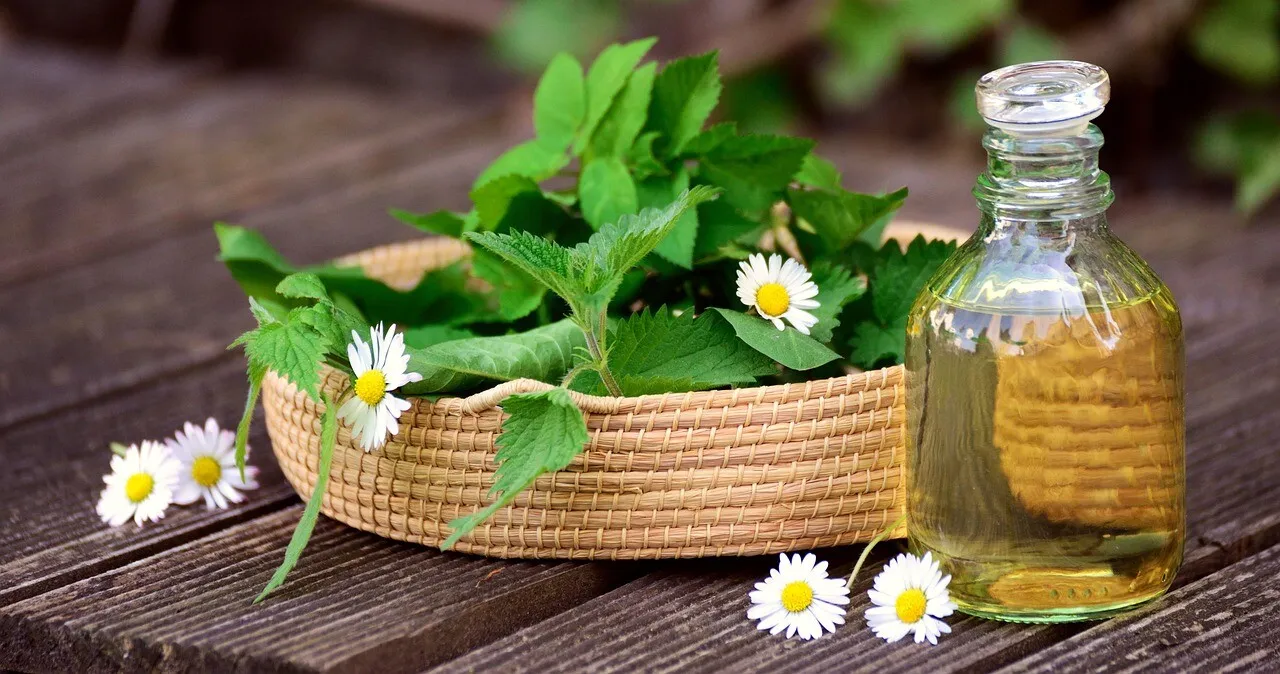 Tehnologie de vârf pentru plante medicinale: S-a inaugurat un nou centru de cercetare