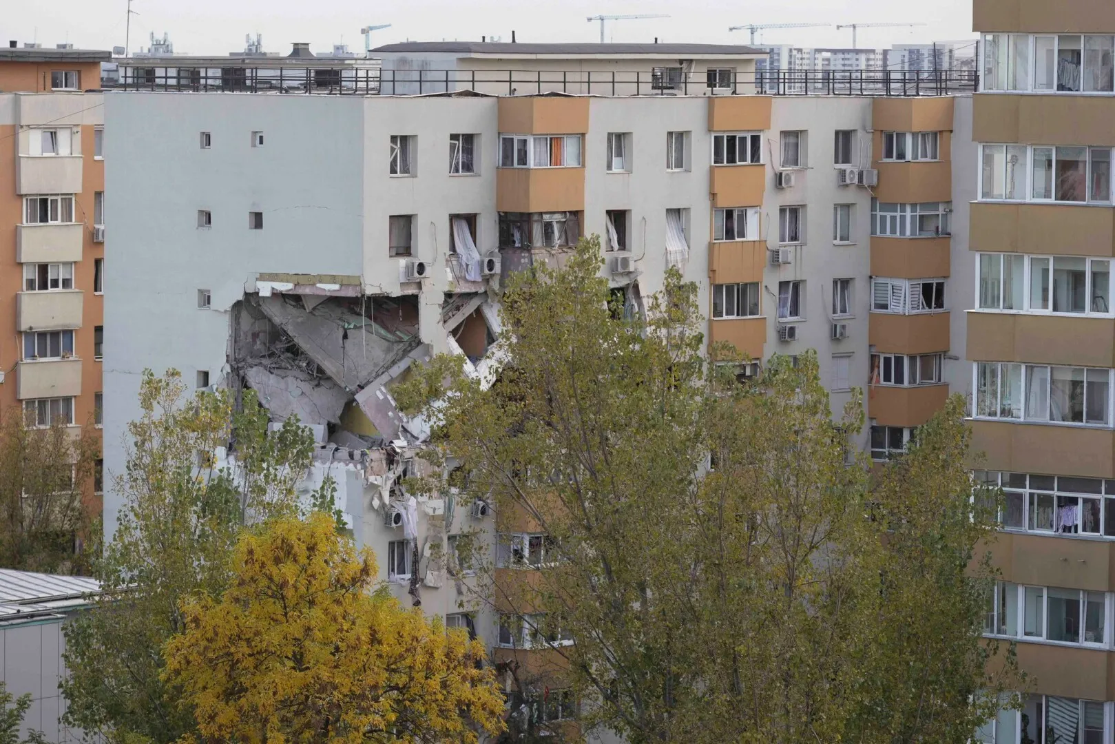 Poveste emoționantă după tragedia din Rahova. Un bărbat și-a riscat viața pentru a salva câinele familiei. Jackie rămăsese să-și păzească casa distrusă
