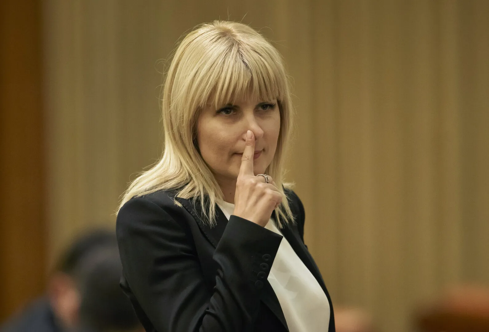 Reacția Elenei Udrea după ce Alina Bica a scăpat de închisoare: 'O lecţie pentru cei care au făcut abuz în justiţia din România'