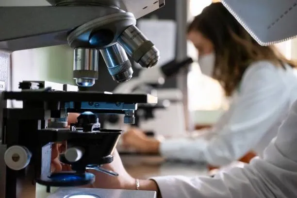 Cercetătorii portughezi au reprogramat celule imunitare antitumorale în laborator