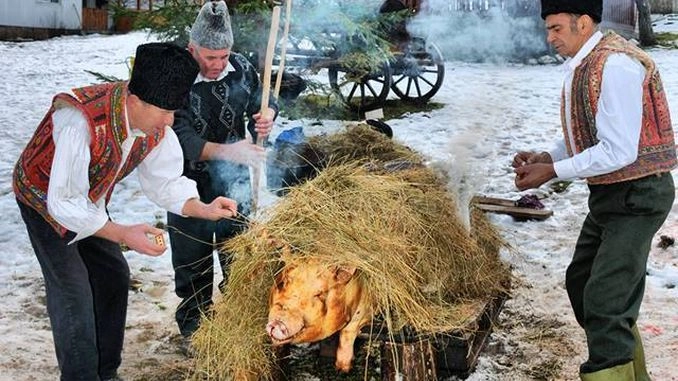 De ce nu merită să cumperi porc 'în viu' pentru Crăciun. După sacrificare se pierde foarte mult din greutate
