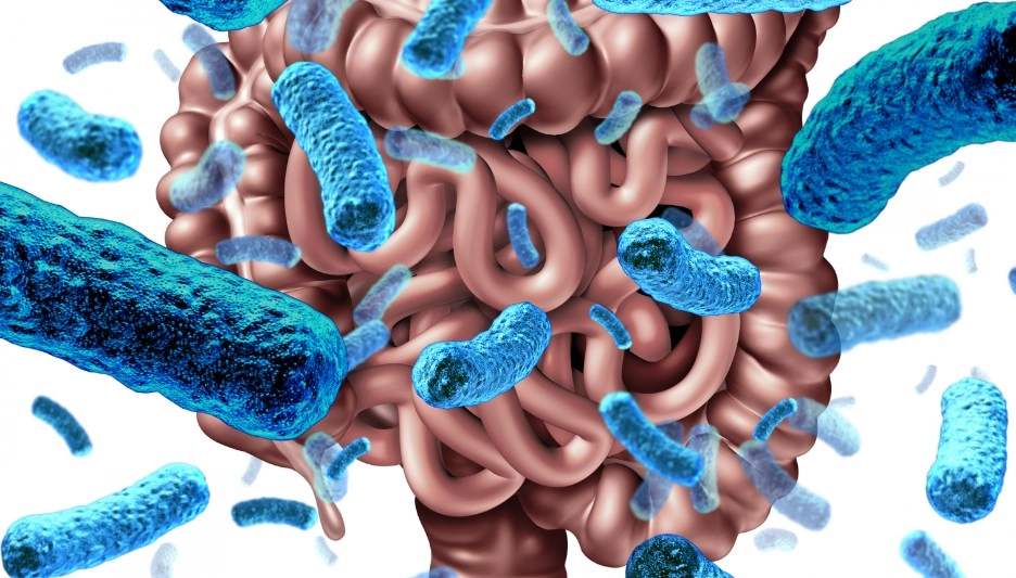 Testele pentru microbiomul intestinal, noul trend în sănătate: Ce spun medicii despre ele