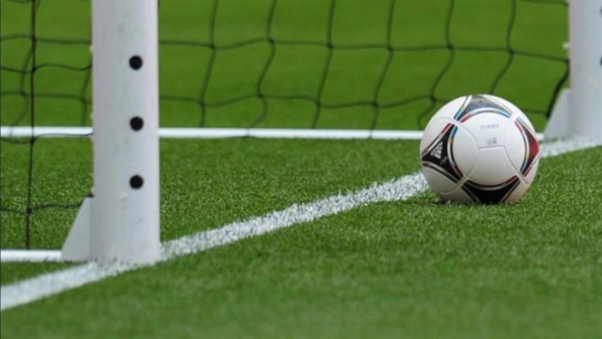 Bundesliga: Hoffenheim a învins pe HSV, scor 4-1, şi e a patra în clasament