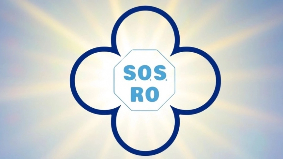 Replica S.O.S. România la ”acuzațiile publice formulate de deputatul Silviu Vexler”: Respingem orice tentativă de a deturna responsabilitatea pentru gestul regretabil din Parlament