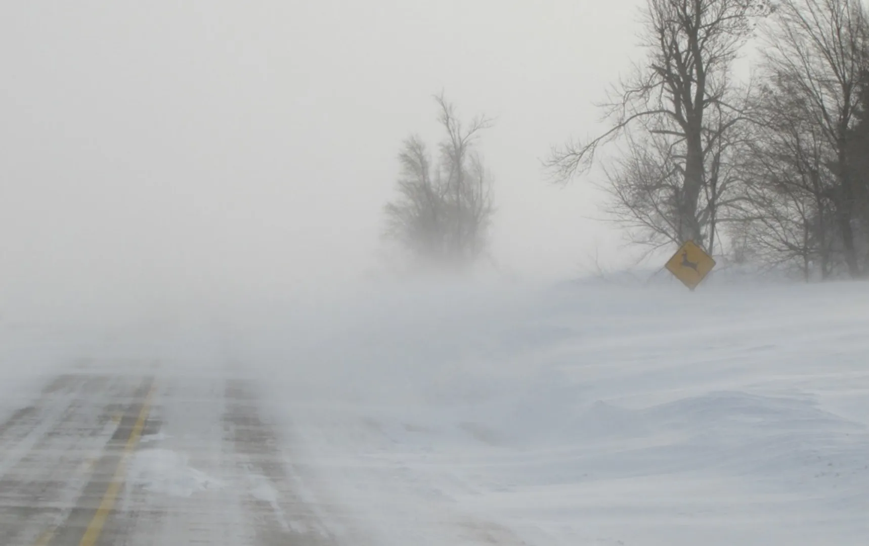 Meteorologii au emis cod galben de ninsori abundente: zăpadă, viscol, ger și polei în jumătate din țară (hartă)