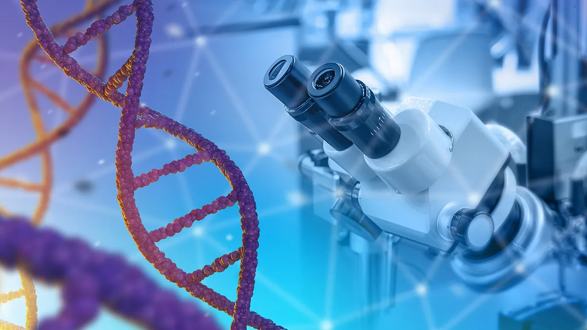 Vom trăi mai mult în viitor? Experimentul 'Tinerețe fără bătrânețe' s-a încheiat cu succes: S-a găsit gena longevității la oameni
