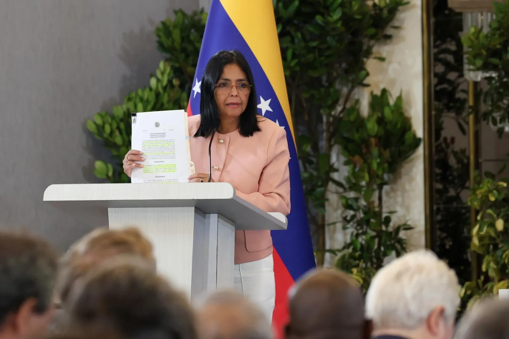 Venezuela și-a ales președintele interimar: cine este Delcy Rodriguez / Ce urmează în Venezuela