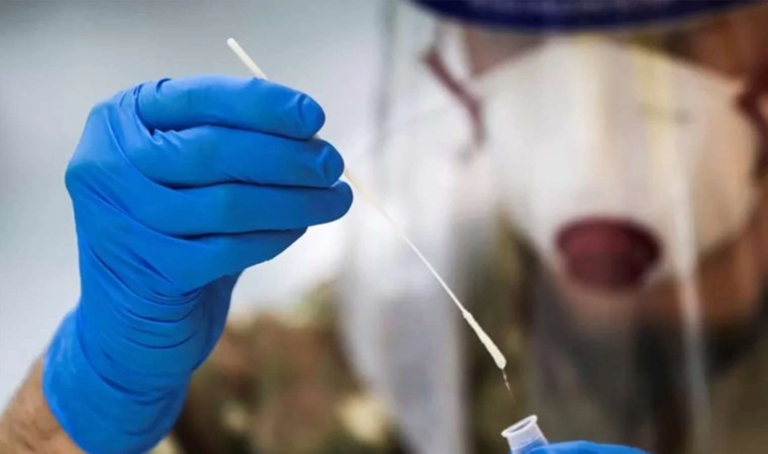 Spania avertizează OMS: Virusul gripei porcine A(H1N1)v se poate transmite de la om la om