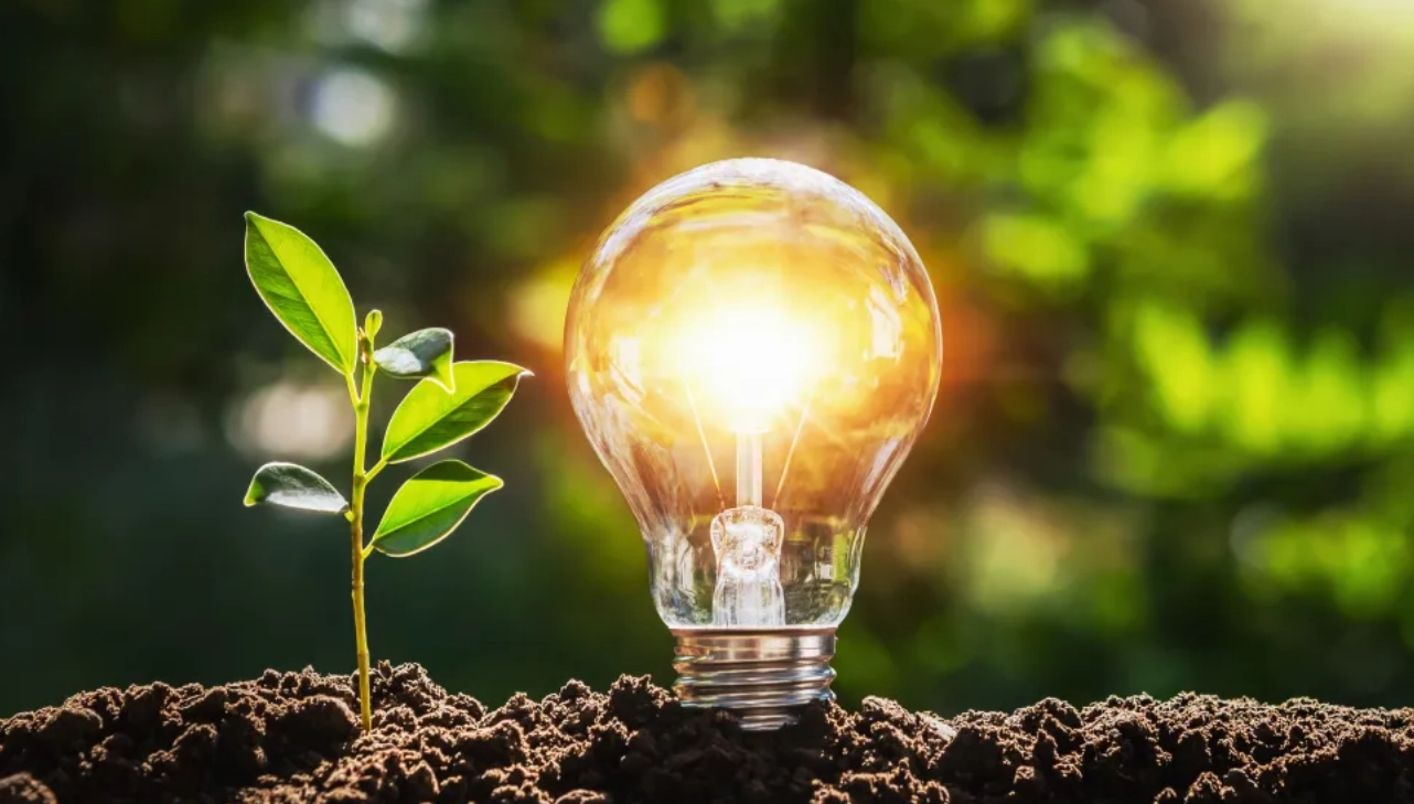 Energia verde e tot mai ieftină – atunci de ce Europa plătește mult mai mult decât China? Avertismentul BCE