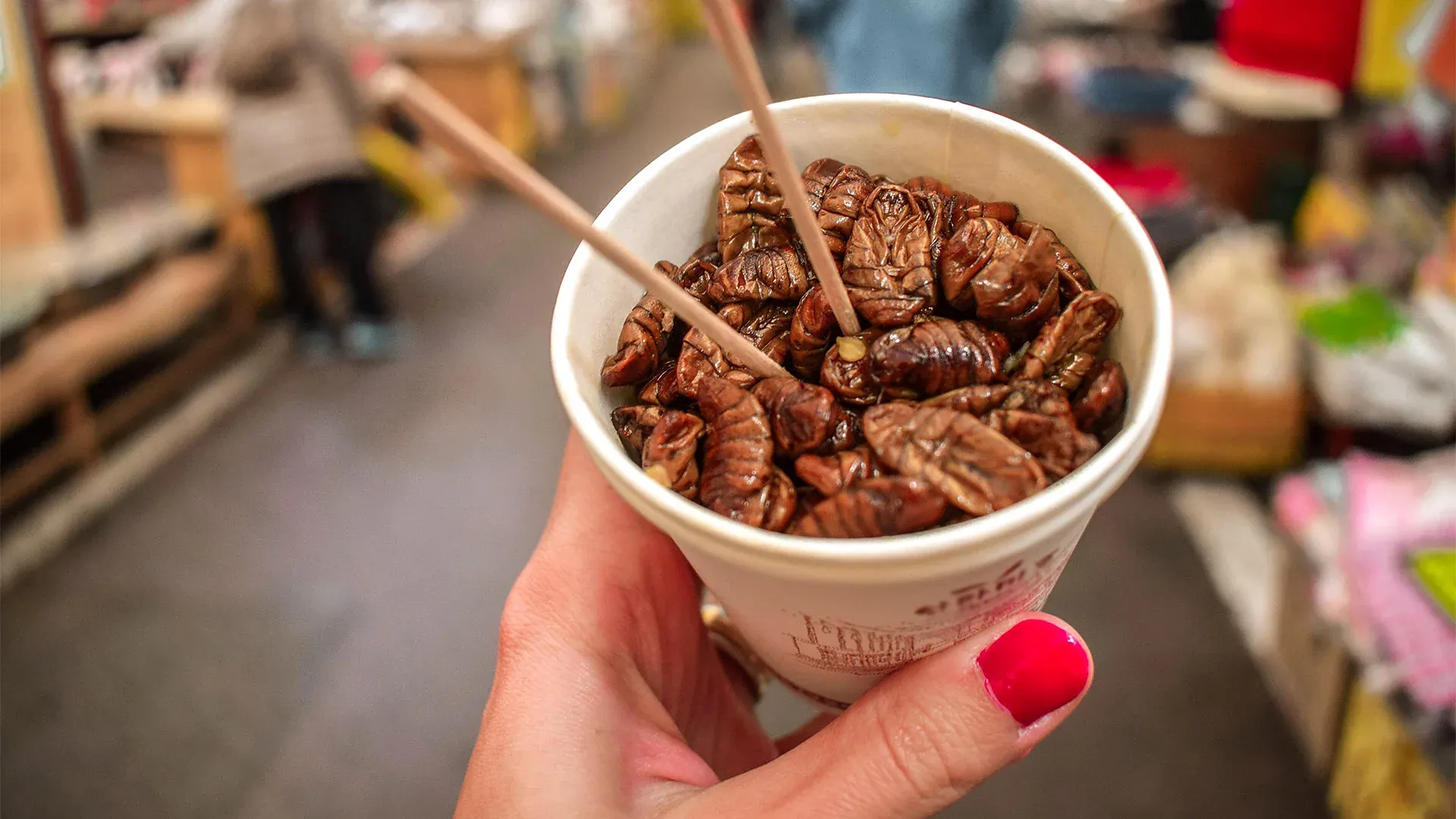 Ai schimba carnea cu insecte? De ce atât de mulți oameni consideră dezgustător consumul lor