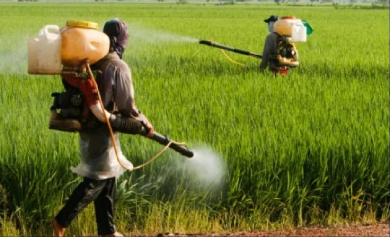 Canada ridică semne de întrebare față de noile reguli UE pentru pesticide