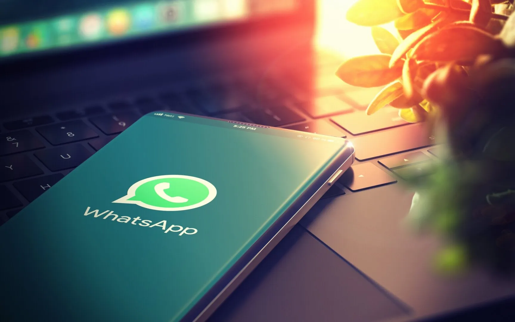 Avertisment pentru utilizatorii WhatsApp: riscurile la care te expui dacă nu ștergi numerele de telefon ale vechilor contacte