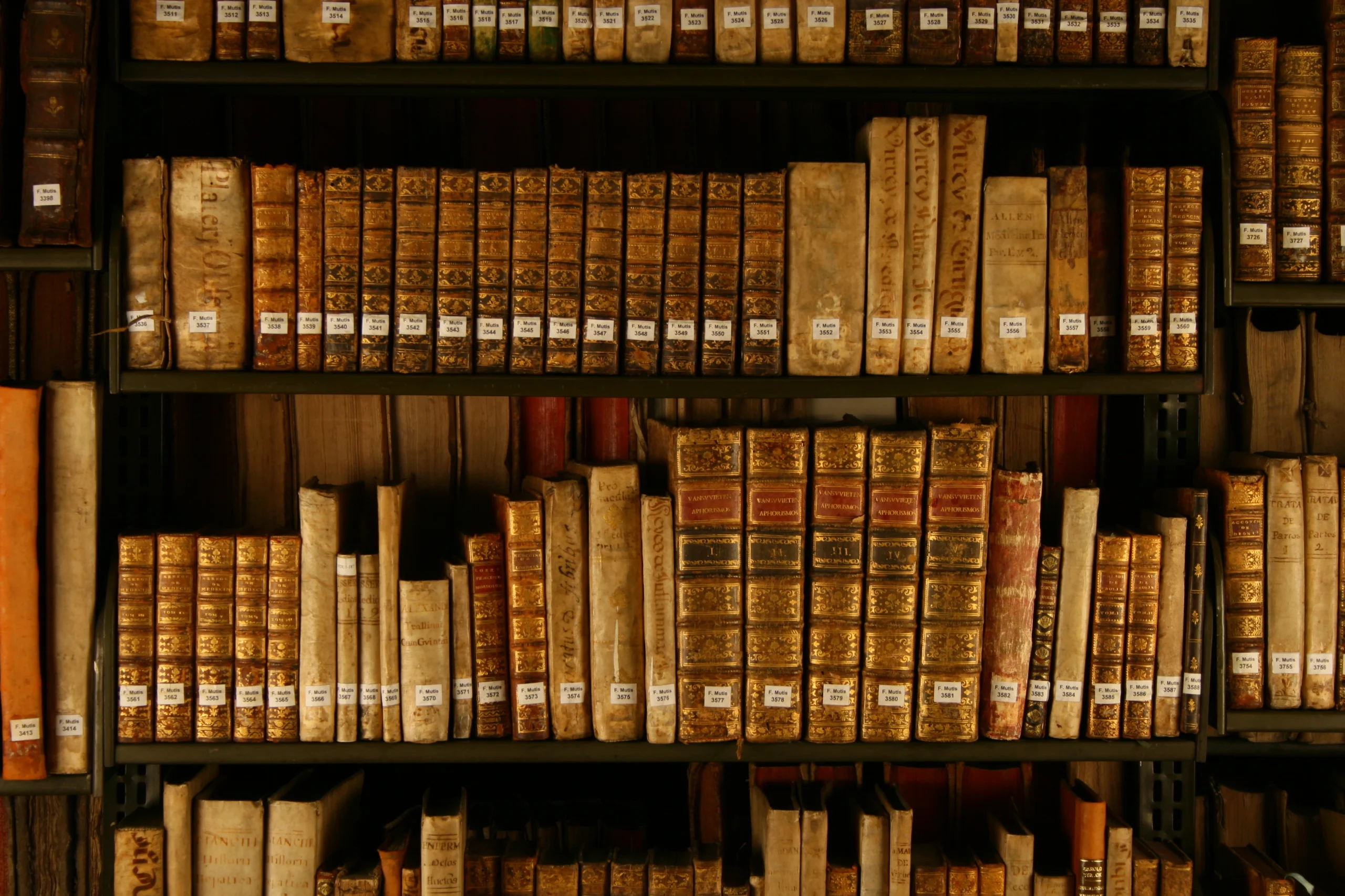 O bibliotecă din Vâlcea se transformă dintr-o clădire veche părăsită într-un hub digital ultramodern