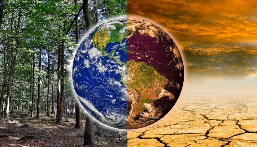 Un ambiţios fond pentru climă, supus votului populaţiei