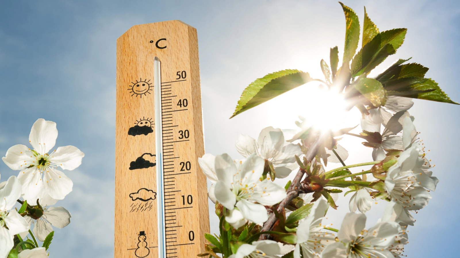 Cum va arăta vara 2026 în România: Prognoza meteo pentru iunie, iulie și august / Temperaturi mai scăzute decât anul trecut