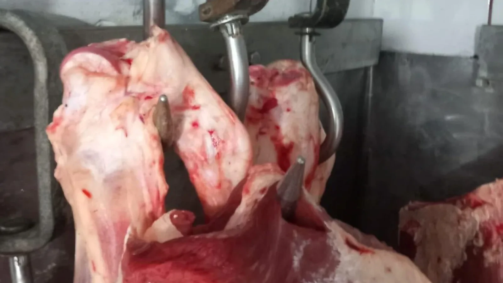 FOTO Carne de miel ținută în condiții insalubre: ANPC a descoperit nereguli grave în toată țara și a aplicat amenzi uriașe comercianților