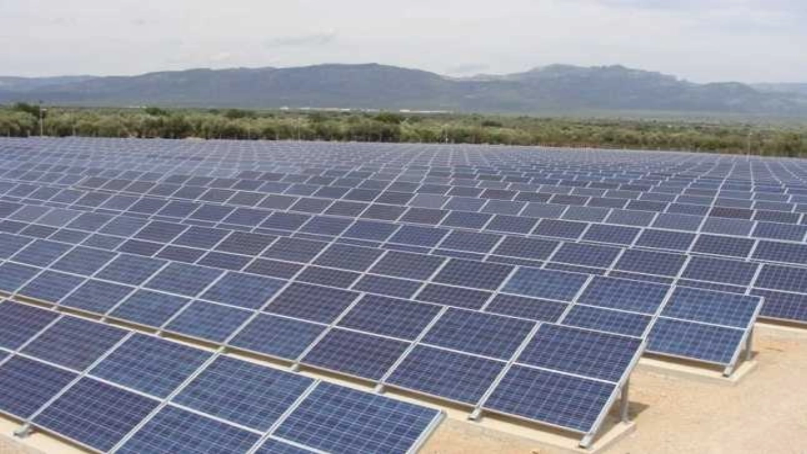 Șase bărbați au fost arestați după ce au furat mai multe profile metalice dintr-un parc fotovoltaic. Prejudiciul estimat la 200.000 de euro