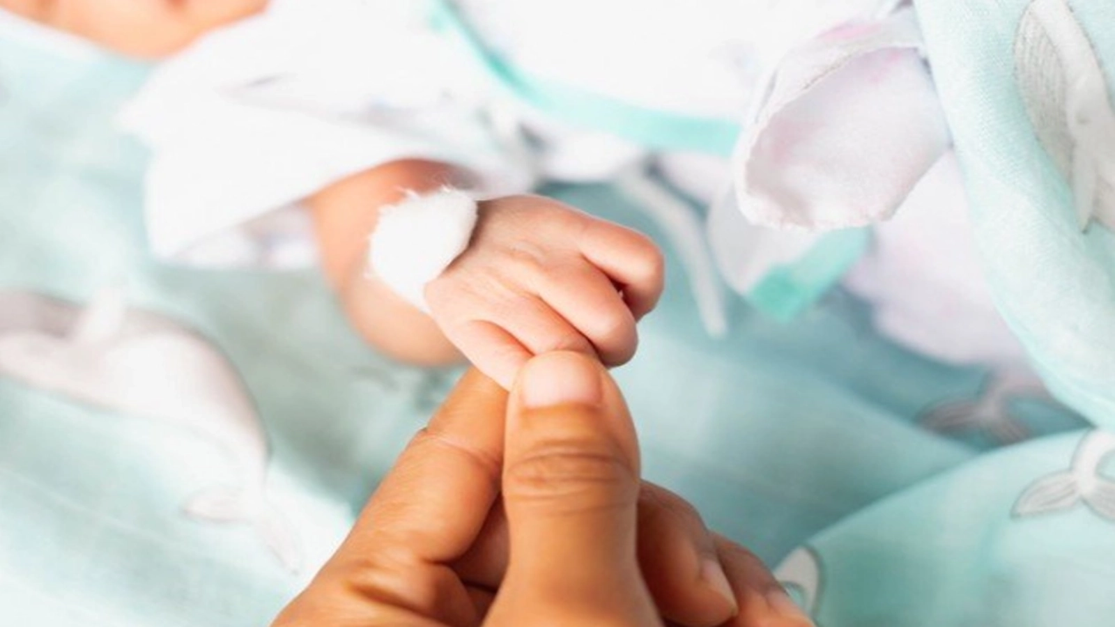 Diana Gămulescu, preşedintele Asociaţiei Prematurilor: Rata prematurității rămâne ridicată în România