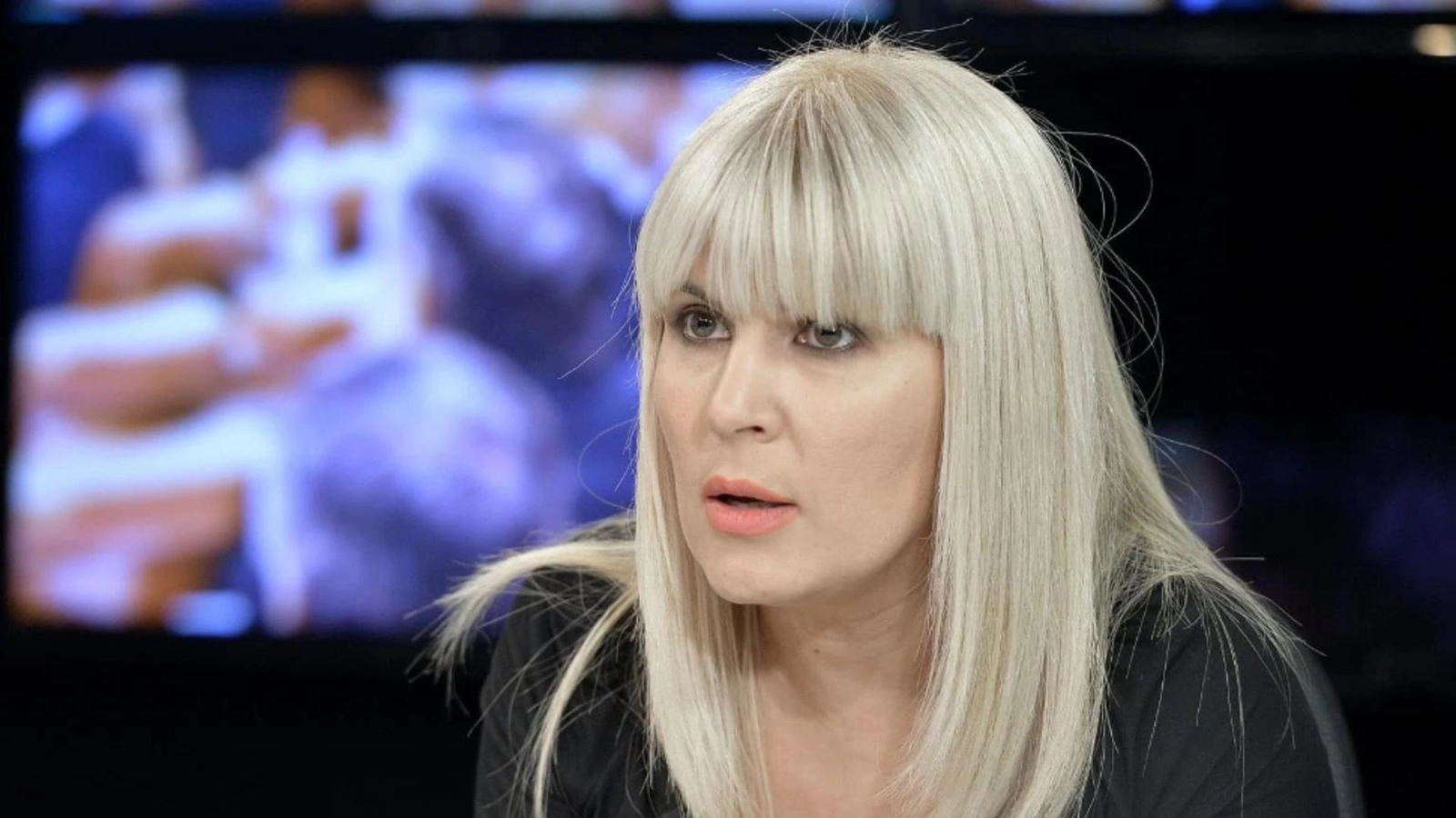 Udrea, în scandalul privatizărilor: „Există o diferență uriașă între a lichida un cadavru administrativ și a vinde un șantier naval strategic”
