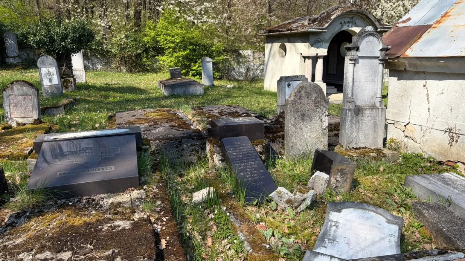 Reacția Ambasadei Israelului în România, după profanarea Cimitirului Evreiesc din Reghin chiar de Paști: Semnalul de alarmă tras de diplomați / FOTO