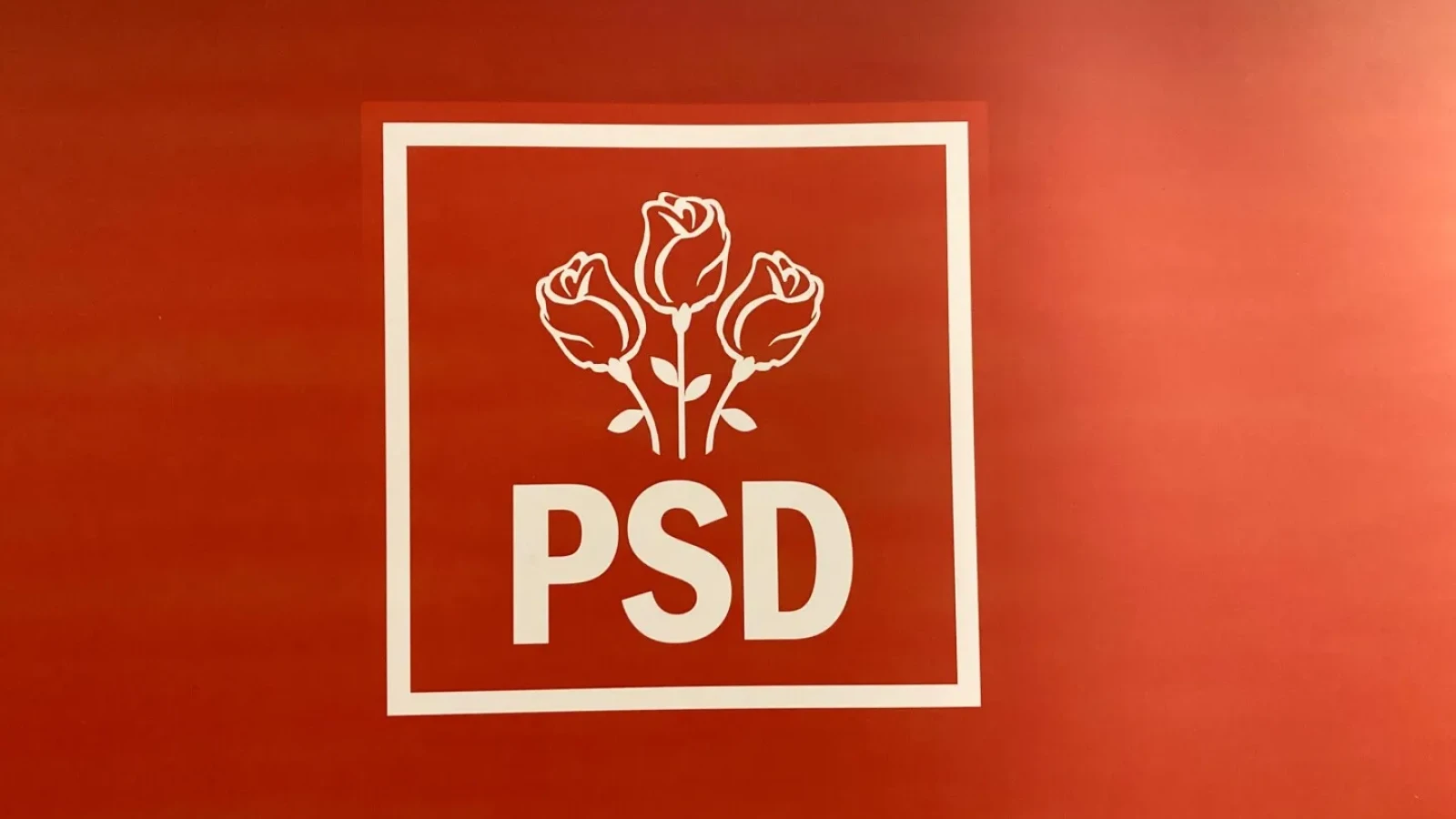 OFICIAL PSD sesizează CNCD și Parchetul: Este o campanie de sorghinte nazistă! Așa justifica Goebbels nazismul din Germania lui Hitler
