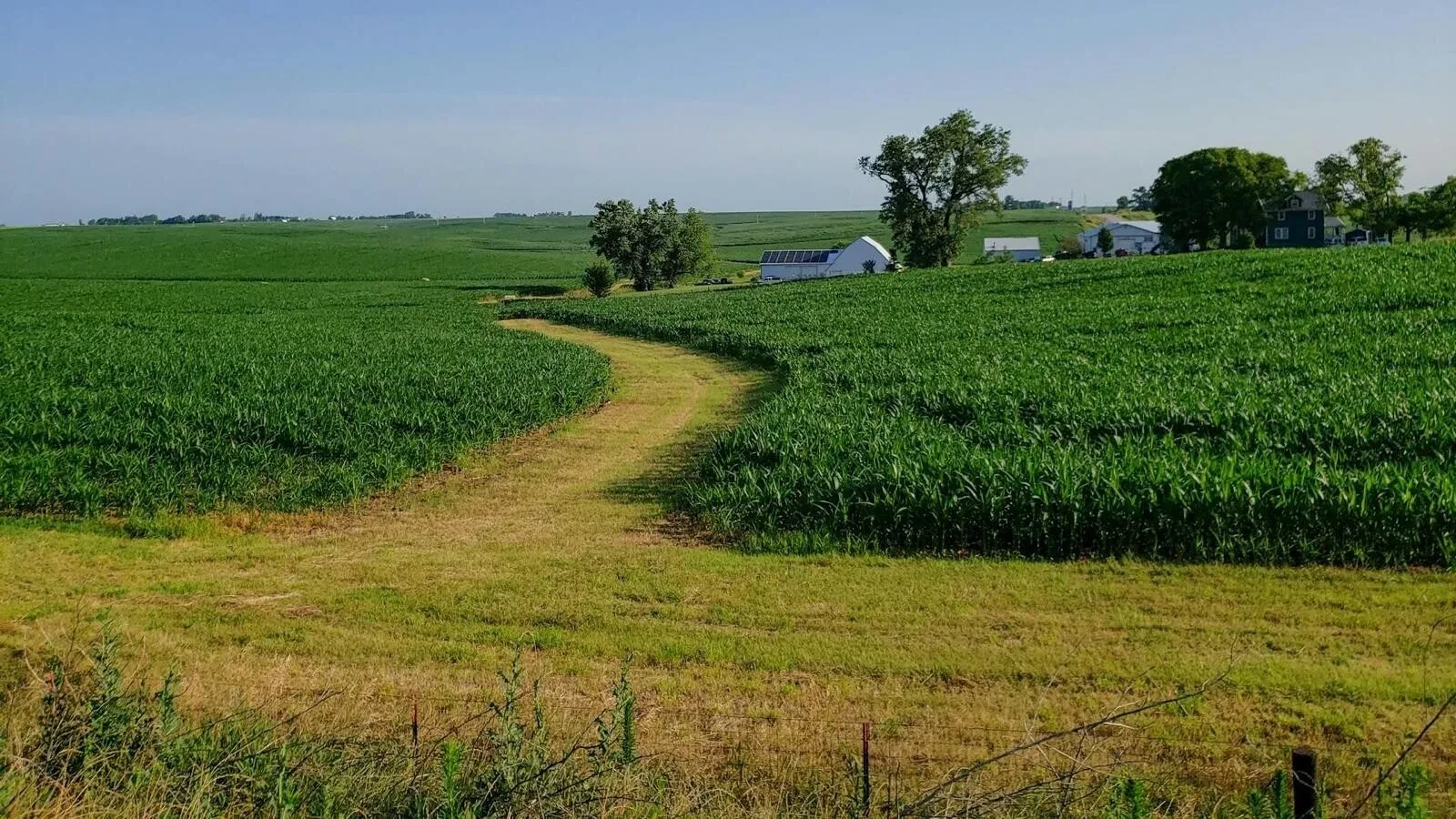 MADR propune majorarea sprijinului pentru intervenţia PD-28 la peste 40 euro/ha