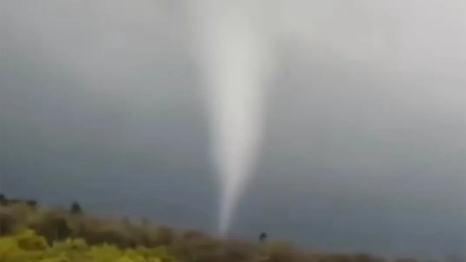 VIDEO Imagini terifiante cu o tronadă în județul Mureș