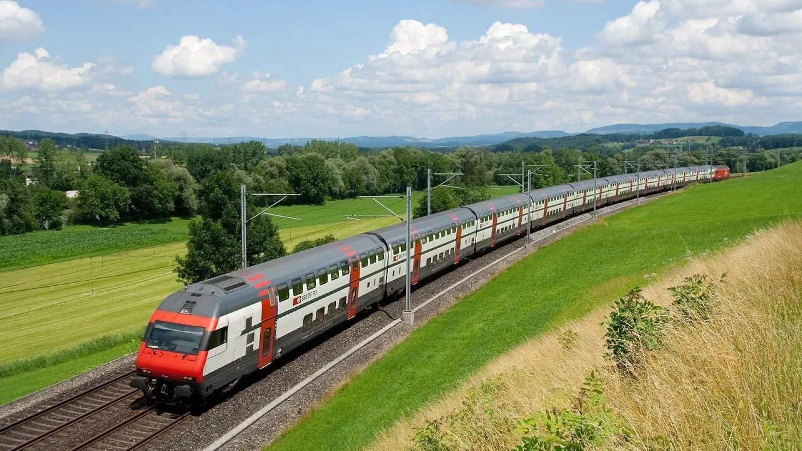 Bălăriile au înghițit infrastructura: În timp ce lumea testează trenuri de 500 km/h, un InterCity din România a fost oprit de buruieni
