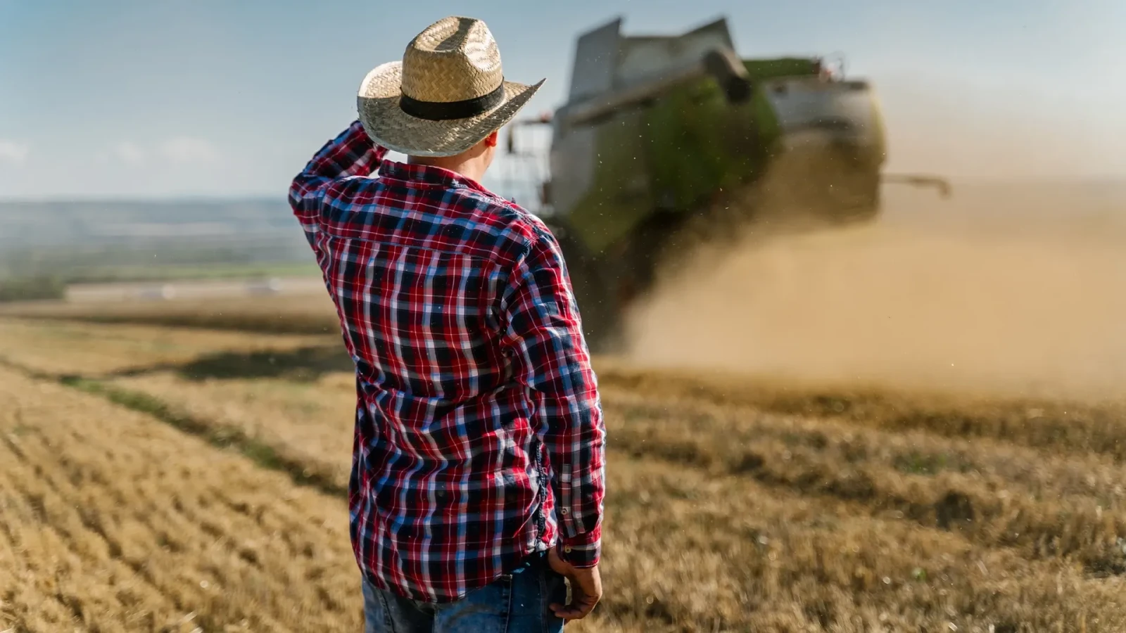 Cum poate România să își mărească producția agricolă în UE. Soluția propusă de CCIR