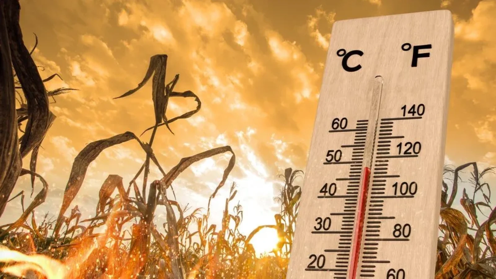Meteorologii ANM au emis prognoza pe termen lung și anunță cum va fi vremea până în iulie: Ne așteaptă primele valuri de caniculă din acest an