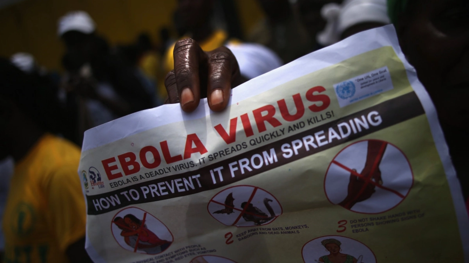 OMS anunță prima vindecare în actualul focar de Ebola din Congo