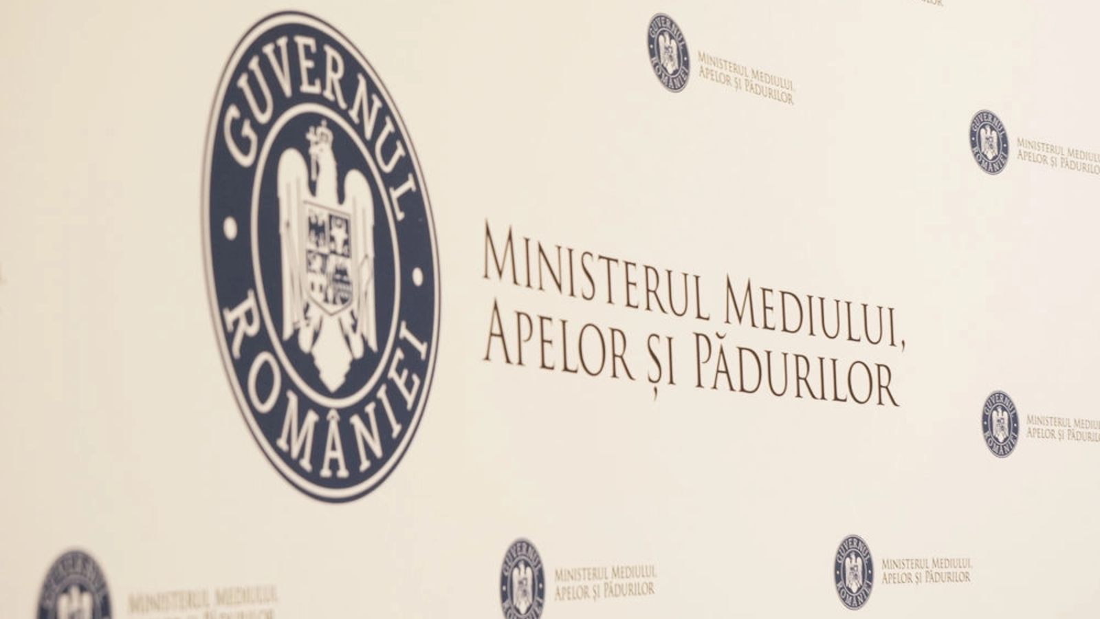 Ministerul Mediului pregăteşte un proiect-pilot pentru plantarea de perdele forestiere pe plajele din Mamaia-Năvodari