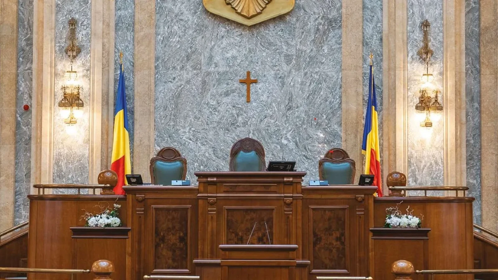 Majoritate PSD-AUR-PACE formată  votul din Senat pentru instalarea în fruntea ICR a Corinei Raluca Încrosnatu