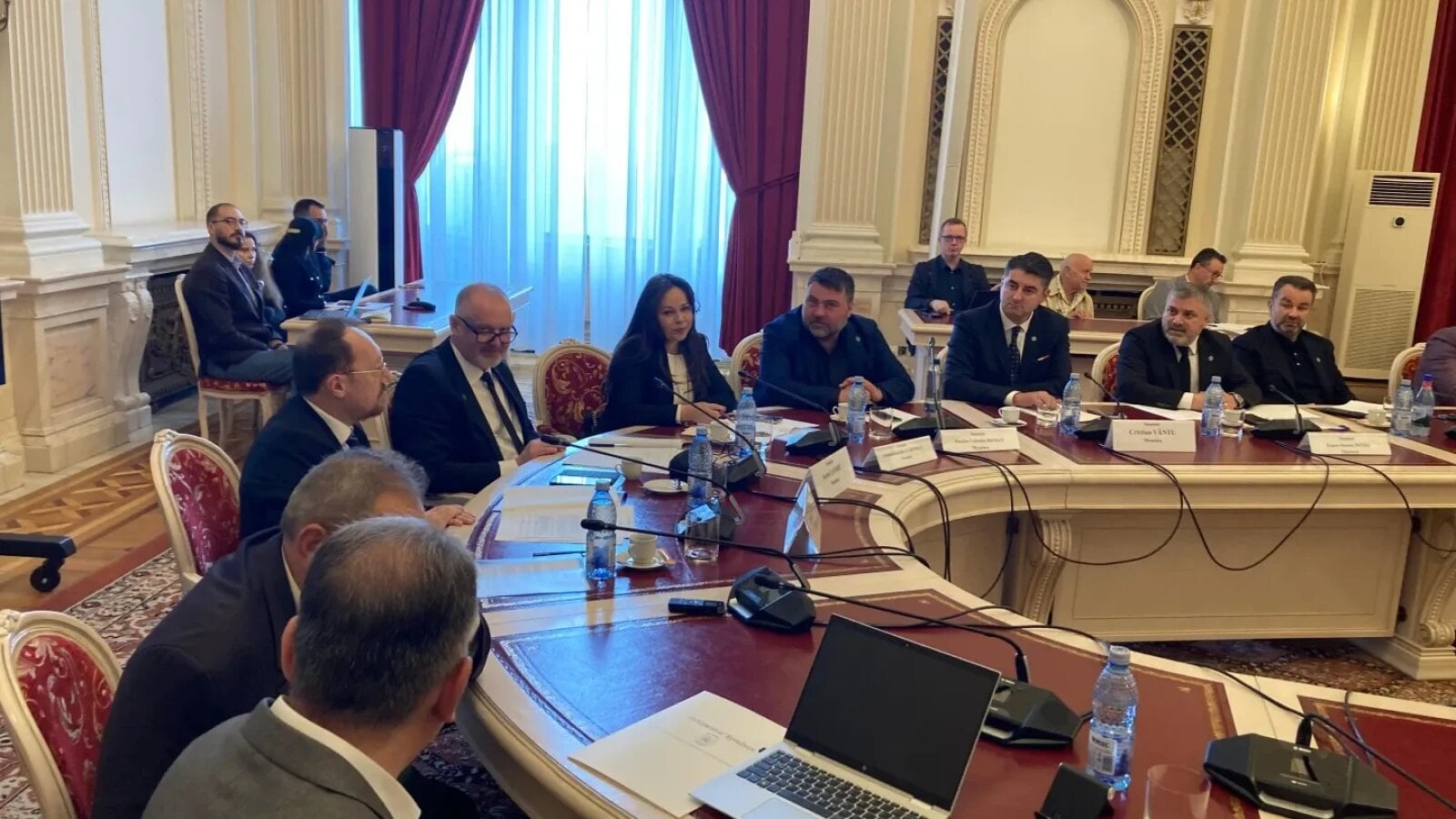 „Nu-mi spui mie că sunt obraznic, da?” / „Nu fi nesimțit!” – Dialog aprins la audierile pentru șefia ICR între senatorii Clement Sava și Eugen Negoi