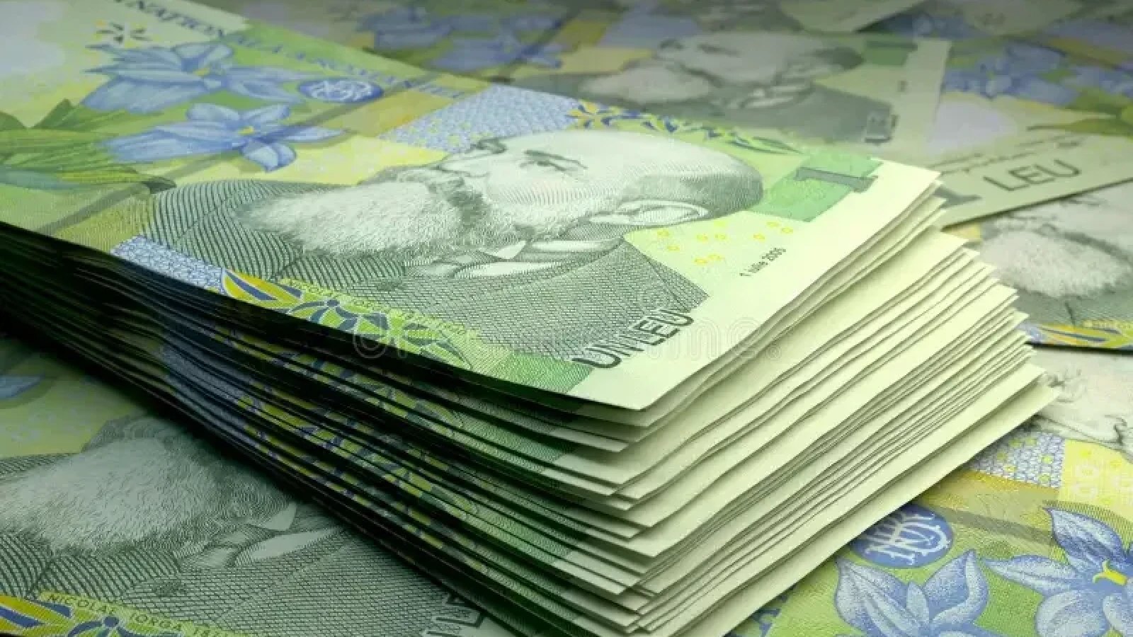Moneda națională s-a depreciat față de euro și dolar (BNR)