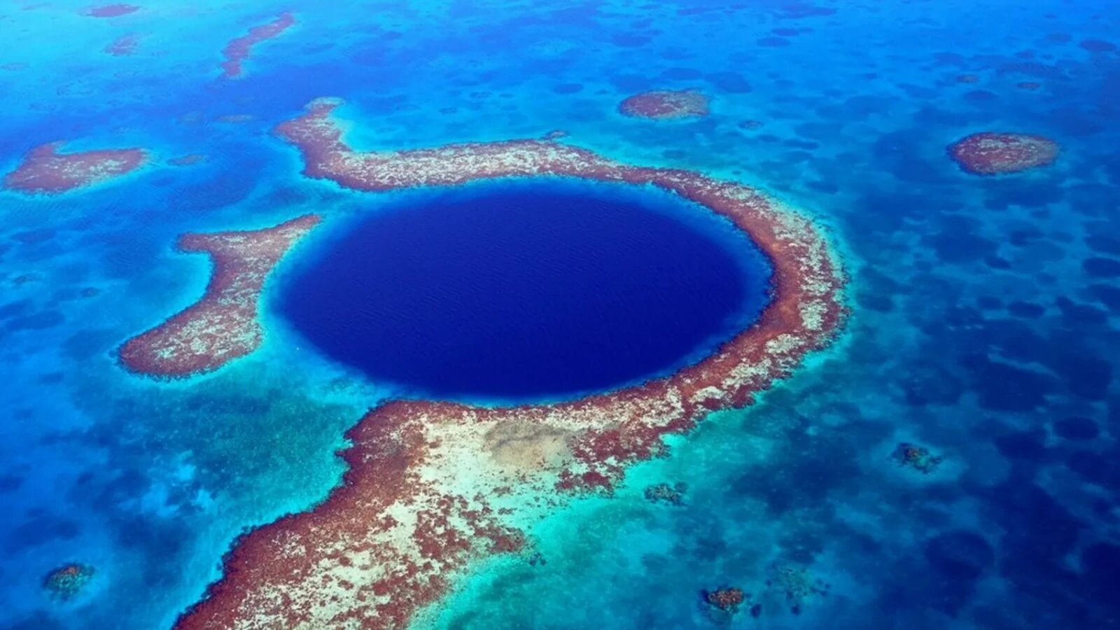 Cercetătorii au rămas uimiți de ceea ce au găsit la capătul unei scufundări de 125 de metri în 'Marea Gaură Albastră' din Belize