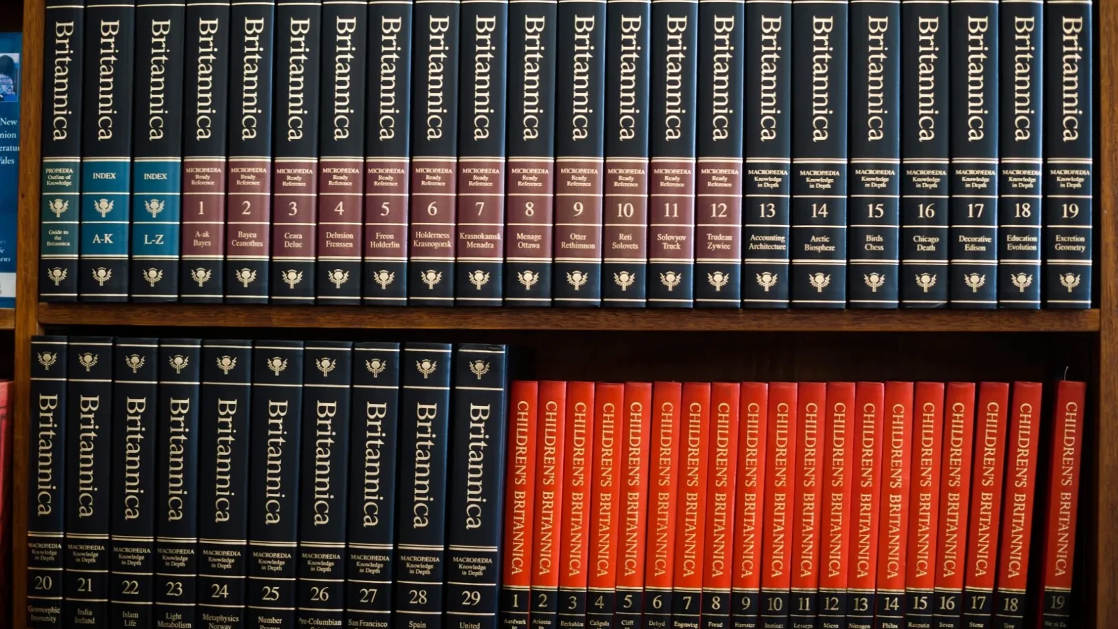 Operațiunea „Pușkin”: Justiția franceză a condamnat șase cetățeni georgieni pentru implicarea într-o amplă rețea specializată în furtul unor cărți rare din biblioteci europene