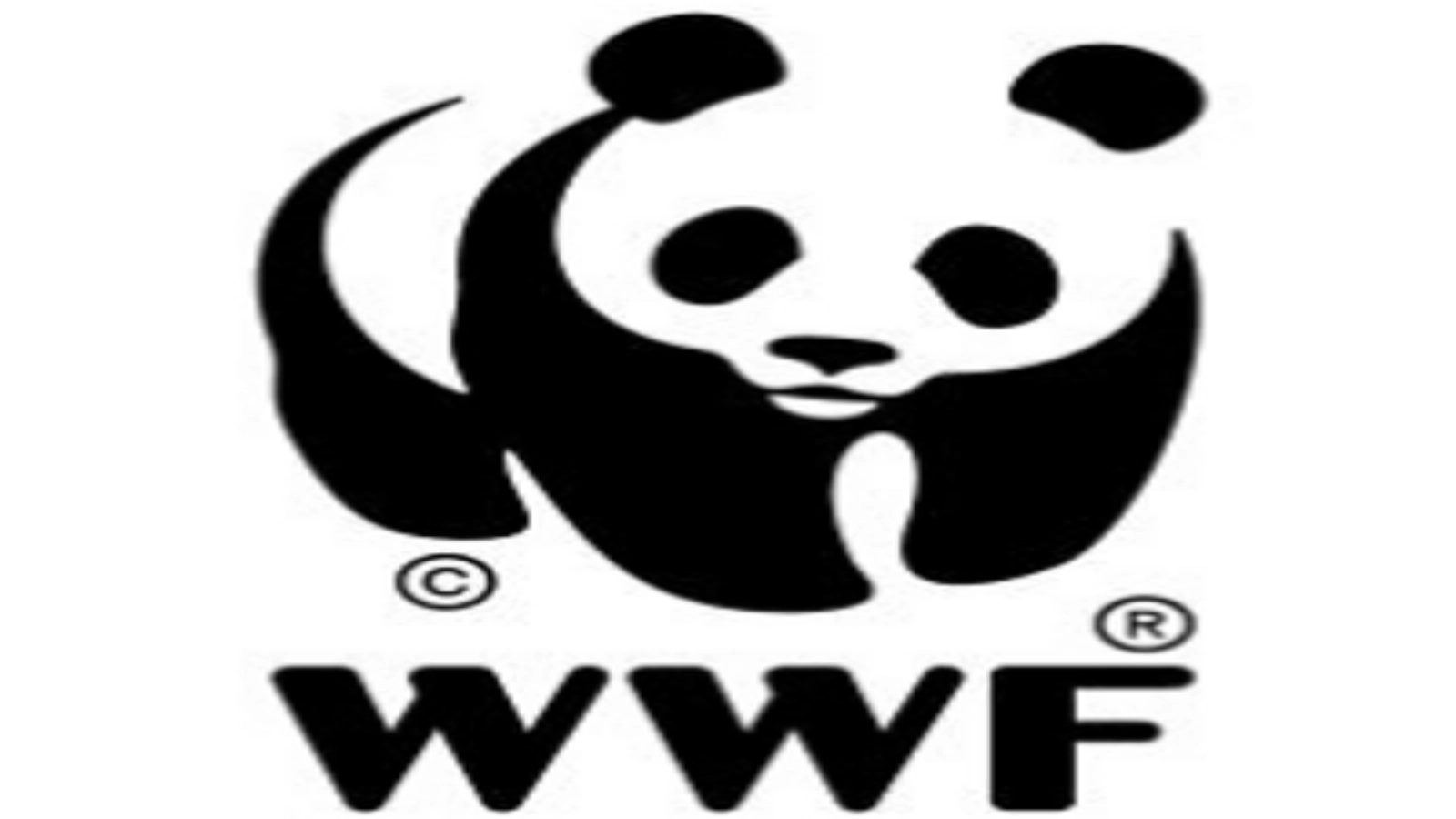 5 iunie – Ziua Mondială a Mediului: WWF-România lansează Harta de Acţiune pentru Mediu