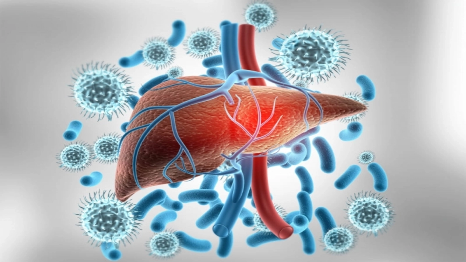 Asociaţia Pacienţilor cu Afecţiuni Hepatice din România – campanie de informare şi testare pentru hepatitele virale