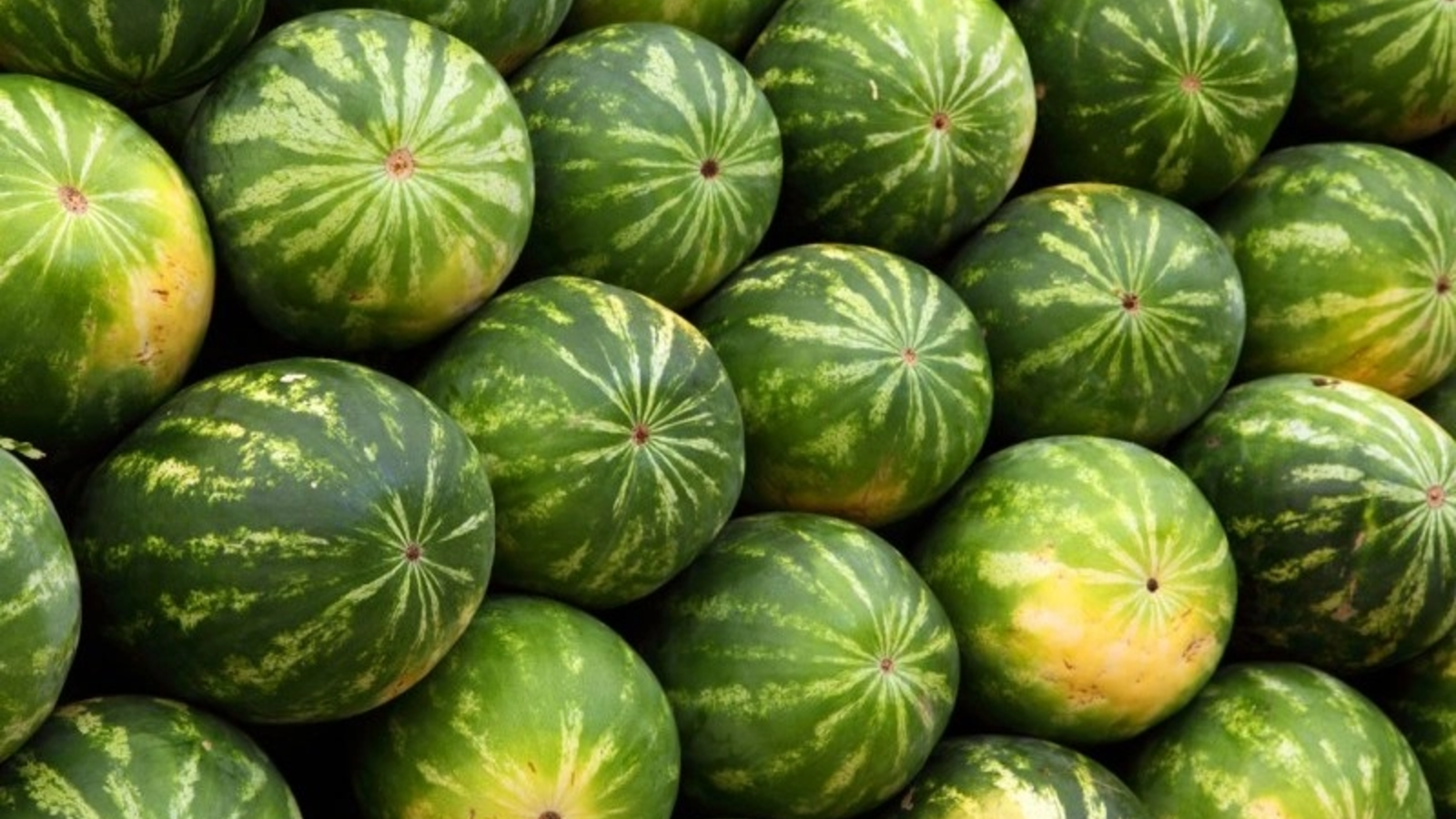 Pepenii falși de Dăbuleni invadează piețele: avertismentul dur al unui primar pentru producătorii prinși cu marfă de import