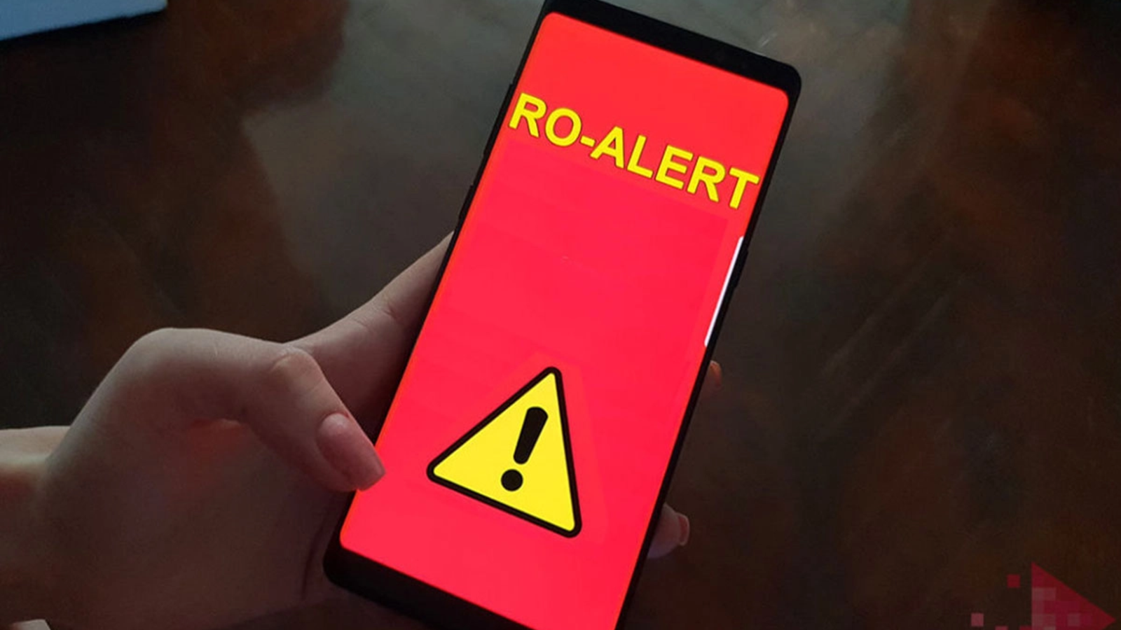 Prezenţa unor urşi, confirmată în două comune din Alba: populaţia a fost avertizată prin RO-ALERT